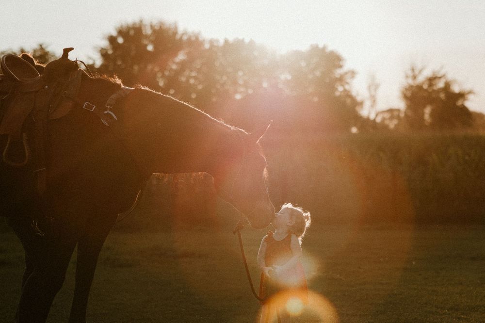 Silhouette of horse and handler backlit by warm sunset glow in a pastoral field.
