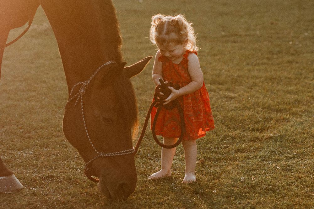 Warm sunset light illuminates a red dress and dark horse in a grassy field.