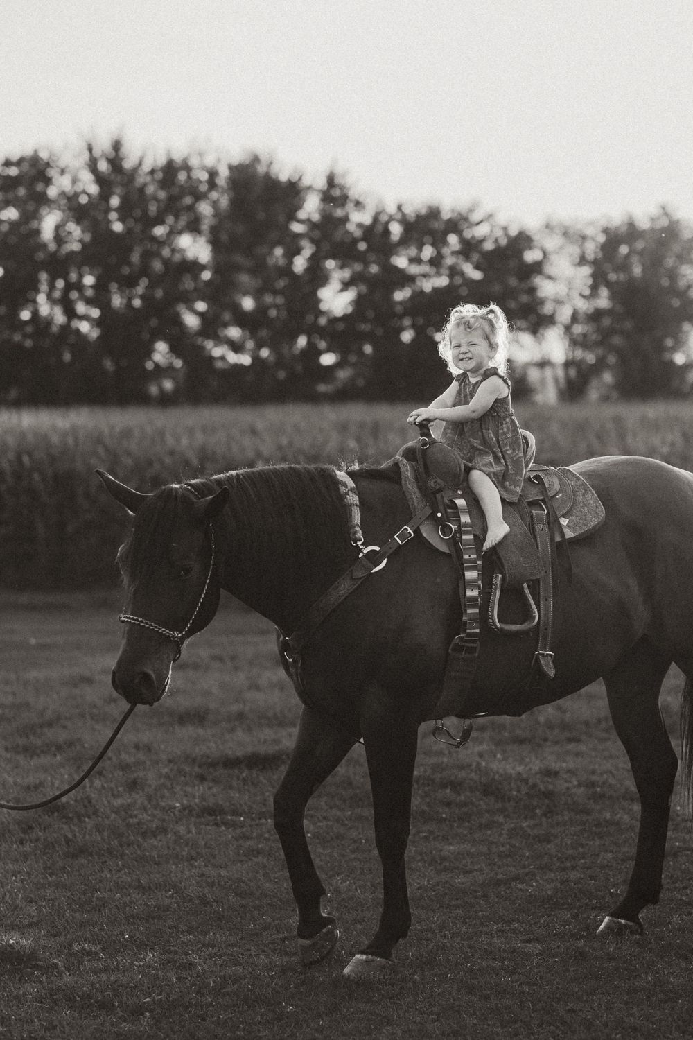 Black and white photograph of a rider atop a dark horse in an evening field.