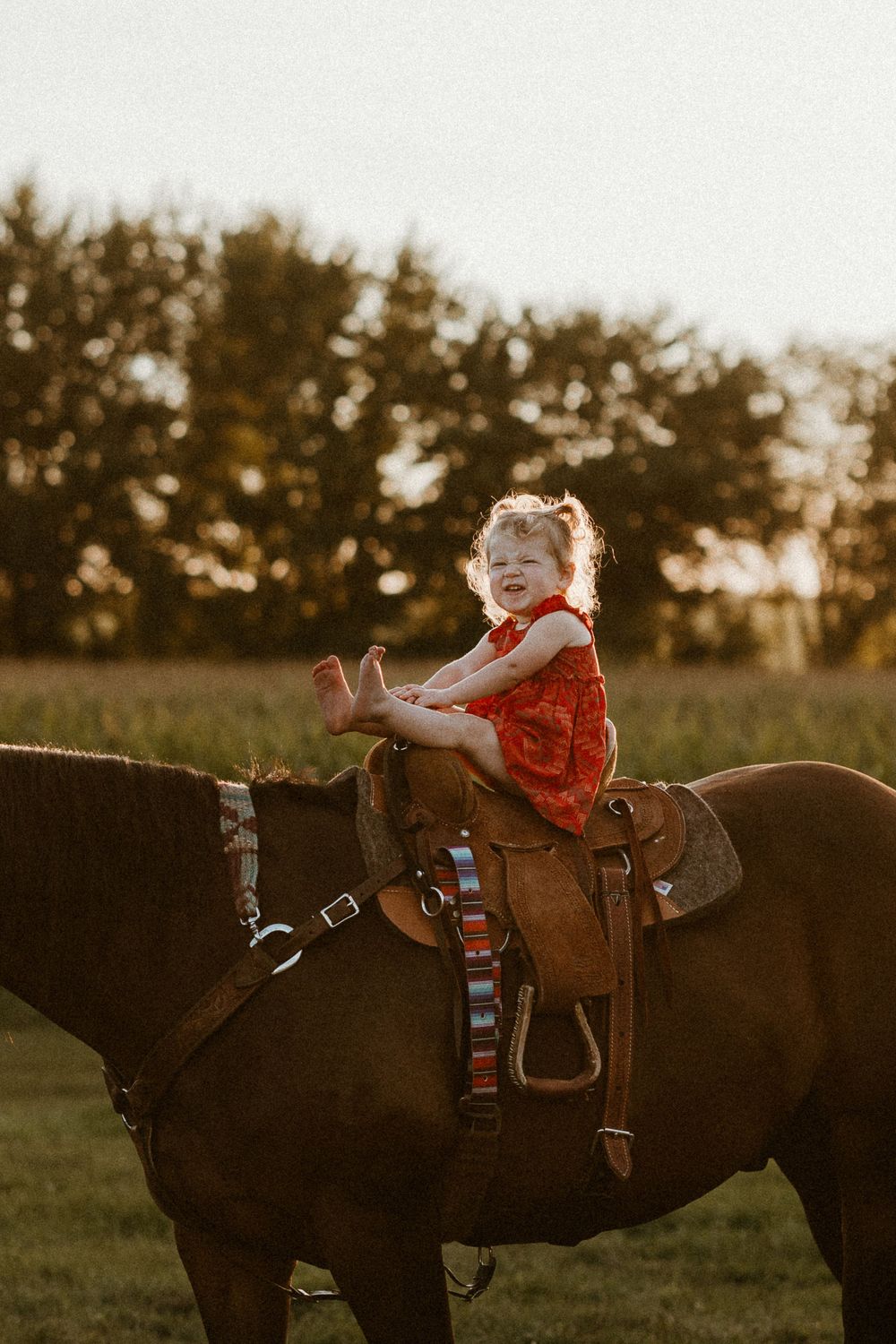 Sunset photoshoot with horse and rider in a red dress against golden light.