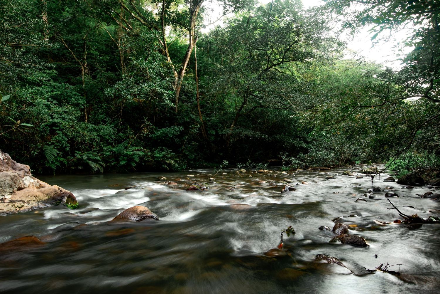 Poza los Coyotes, Liberia