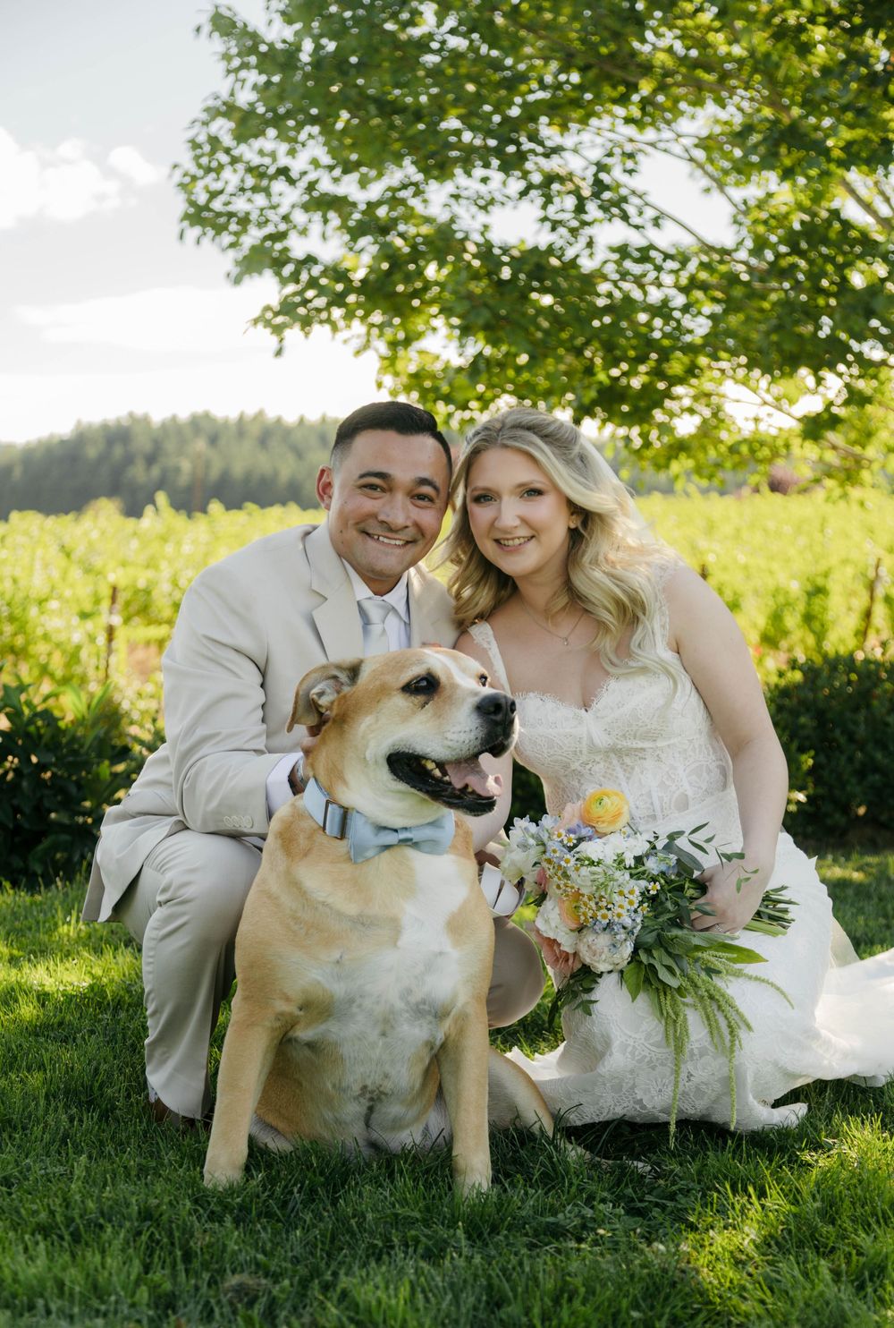 Bride and groom pose with their tan dog wearing a blue bow tie at a vineyard wedding on a sunny day.