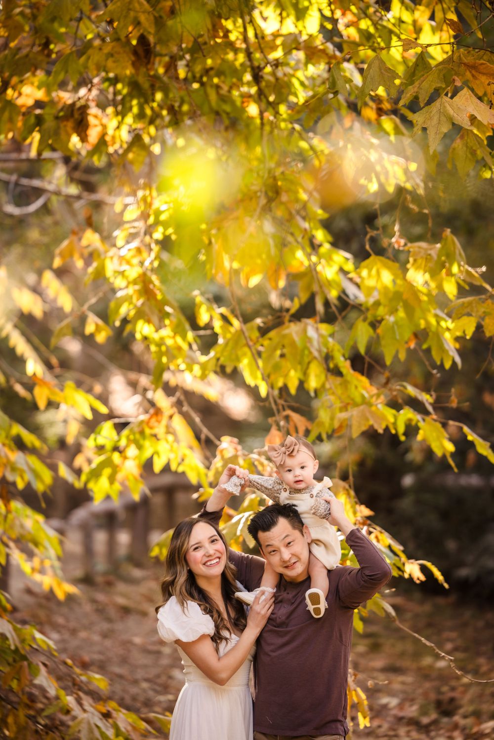 Joyful family moment captured beneath golden autumn leaves with sunlight streaming through.