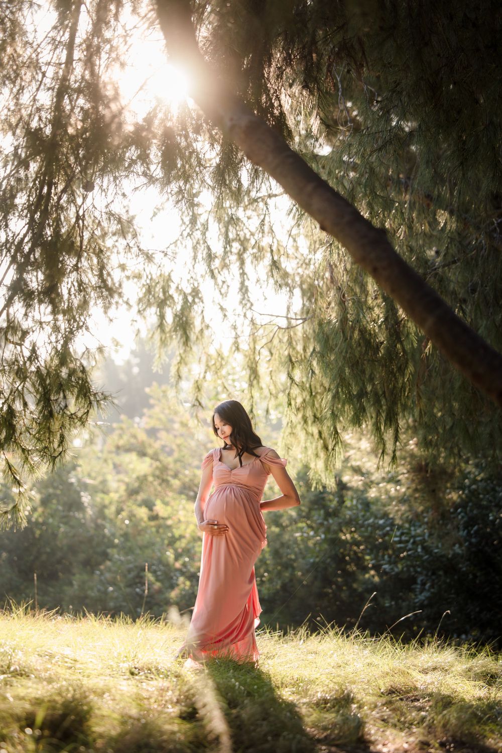 Serene maternity portrait under weeping willow trees in warm evening light.