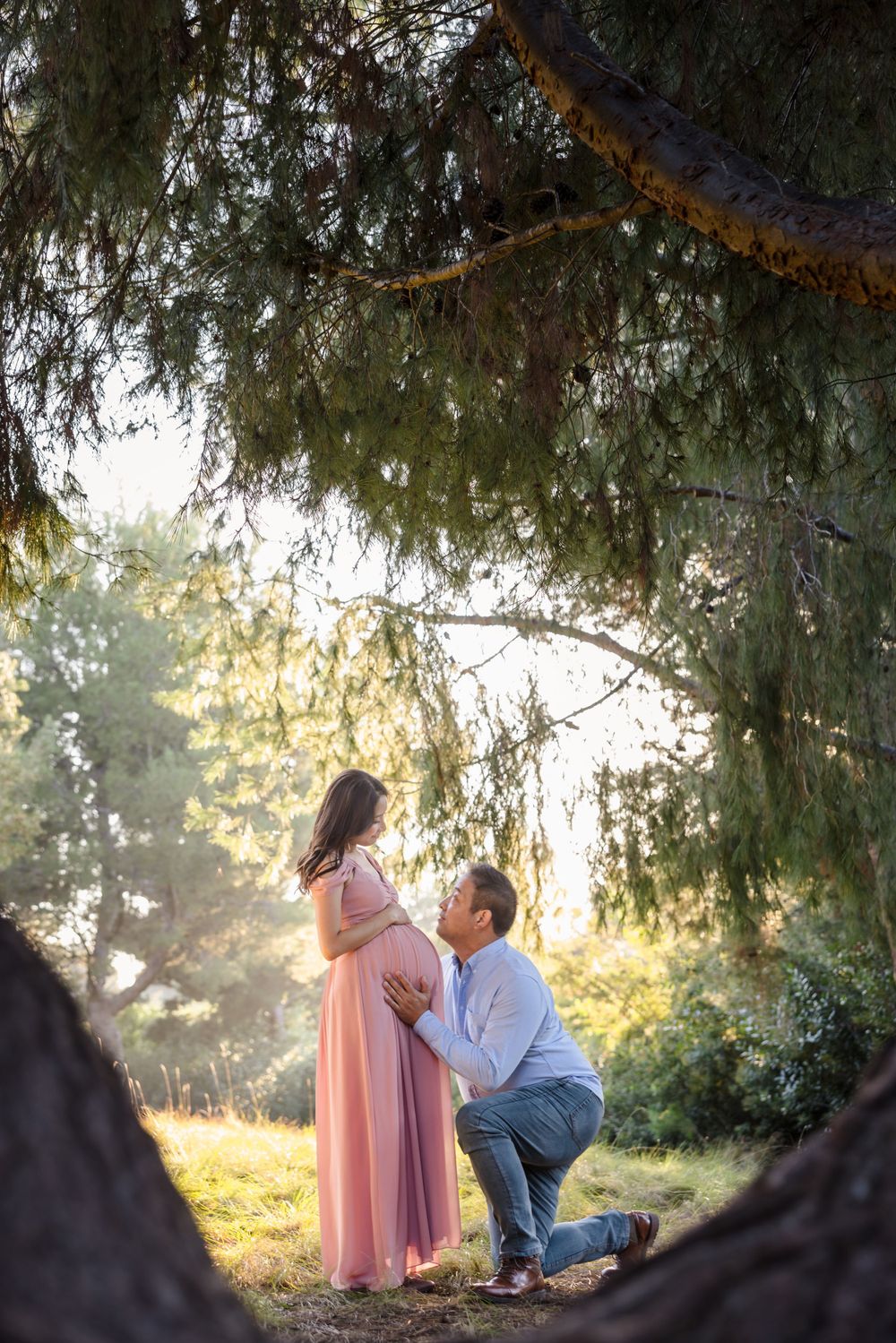 A maternity photo under a willow tree at sunset shows an expecting couple sharing an intimate moment in nature.