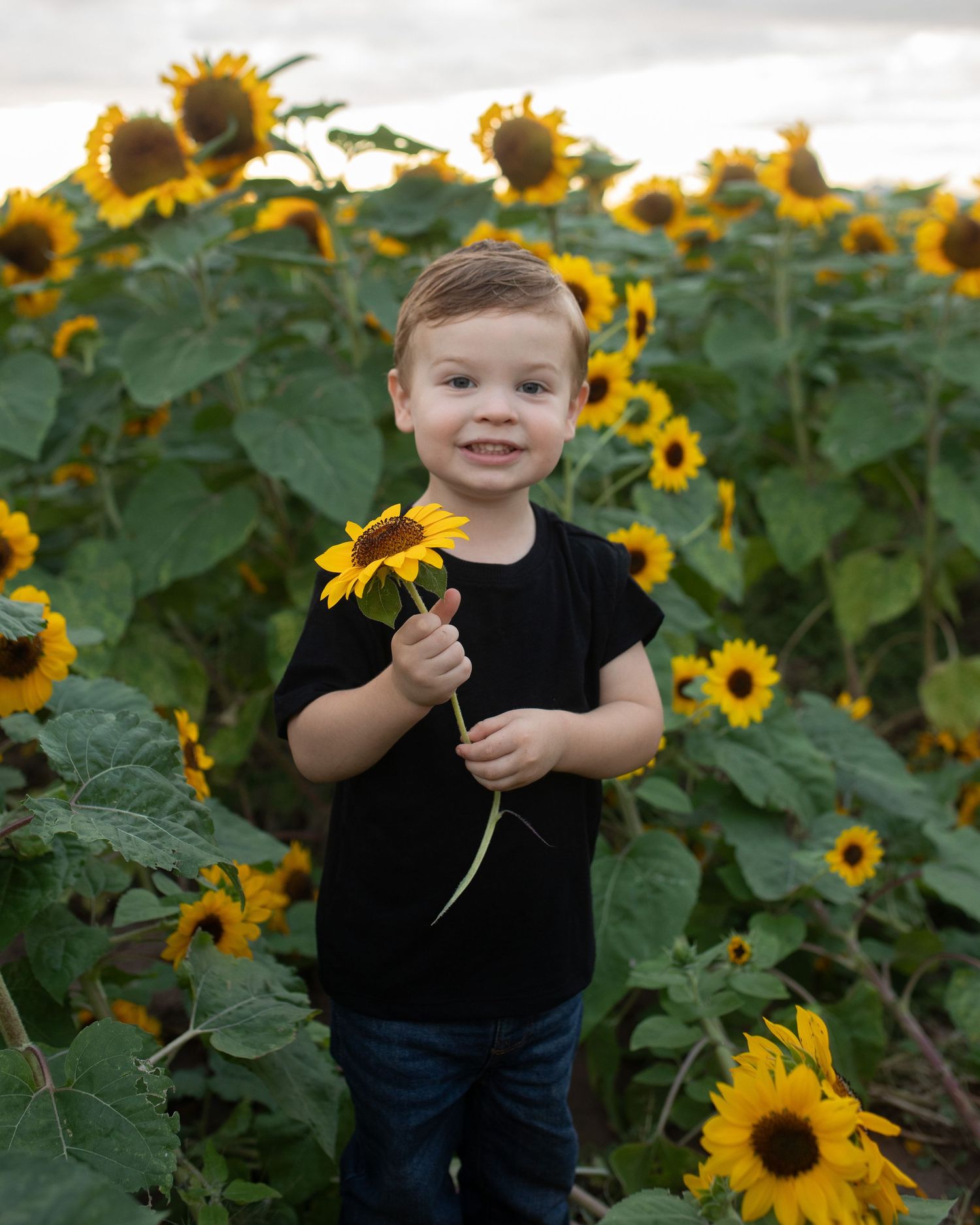 Smiling Girl in Buckeye Sunflower fields at dawn