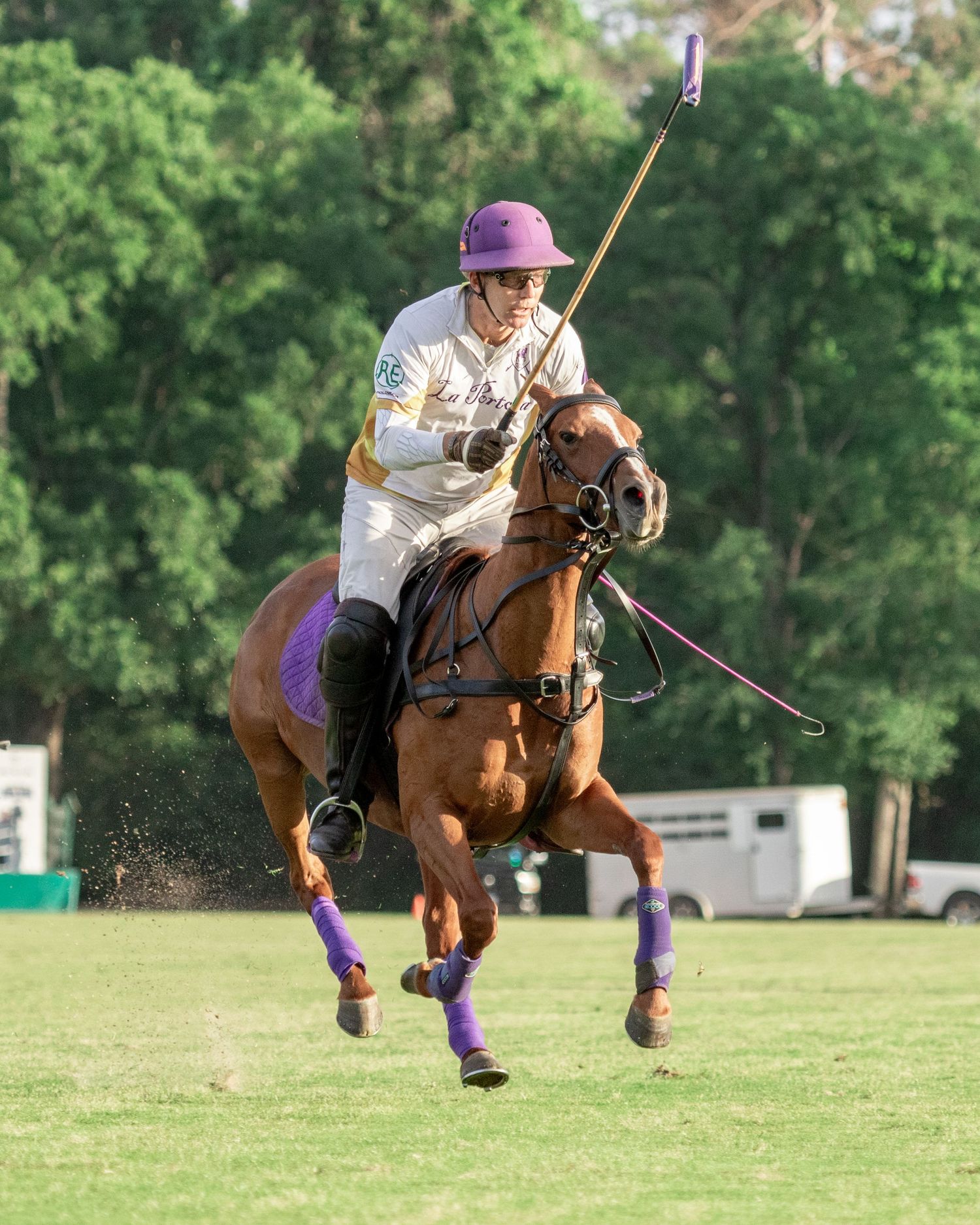 Polo
