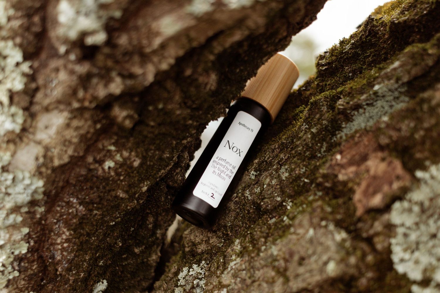 Outdoor product photography, perfume oil, perfume, rocks, moss, brand, branding, warm, moody, products, tree bark, lichen, small business