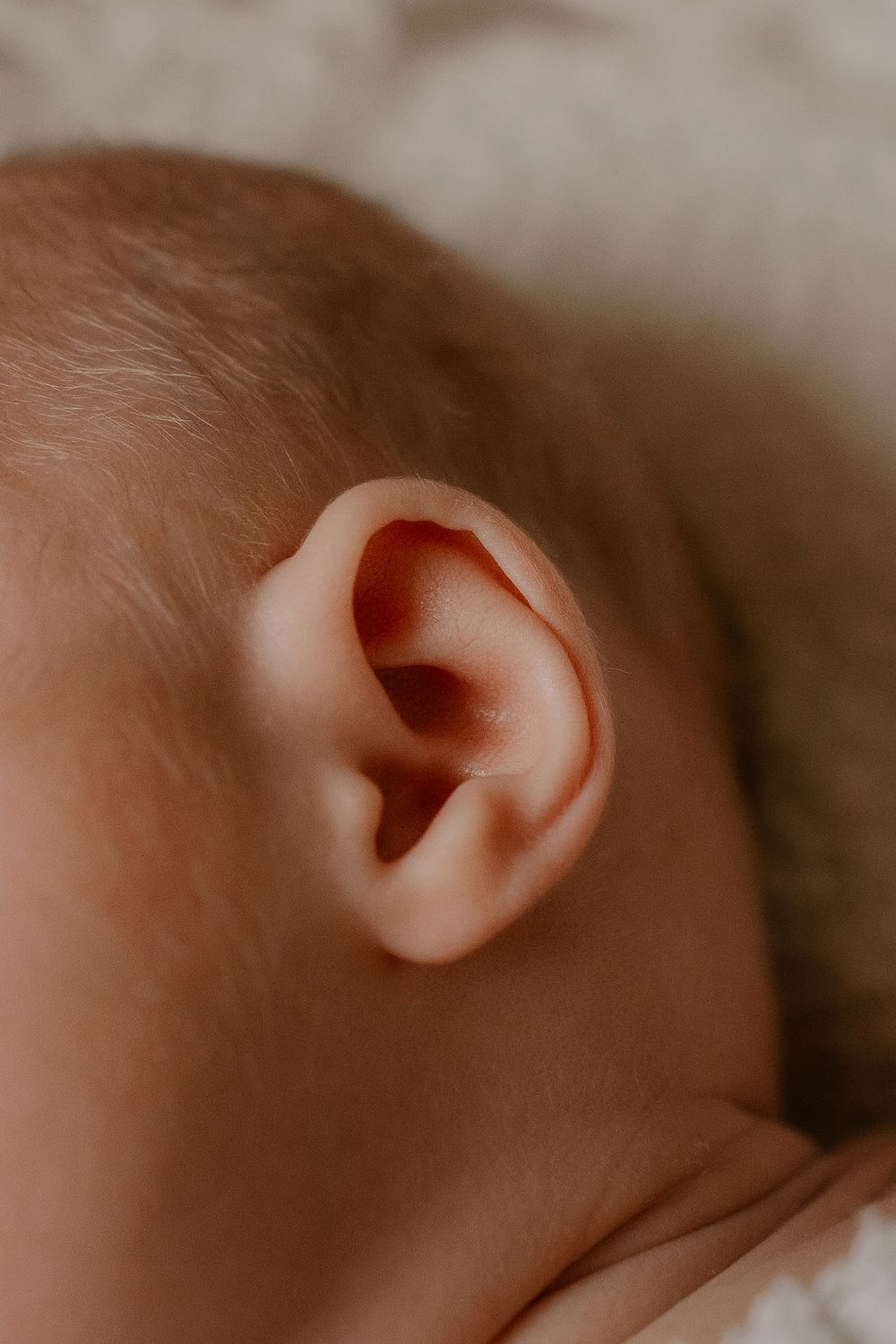 close up of newborn babies ear