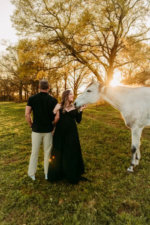 Pregnant couple in black outfits interacting with white horse at golden sunset in field.