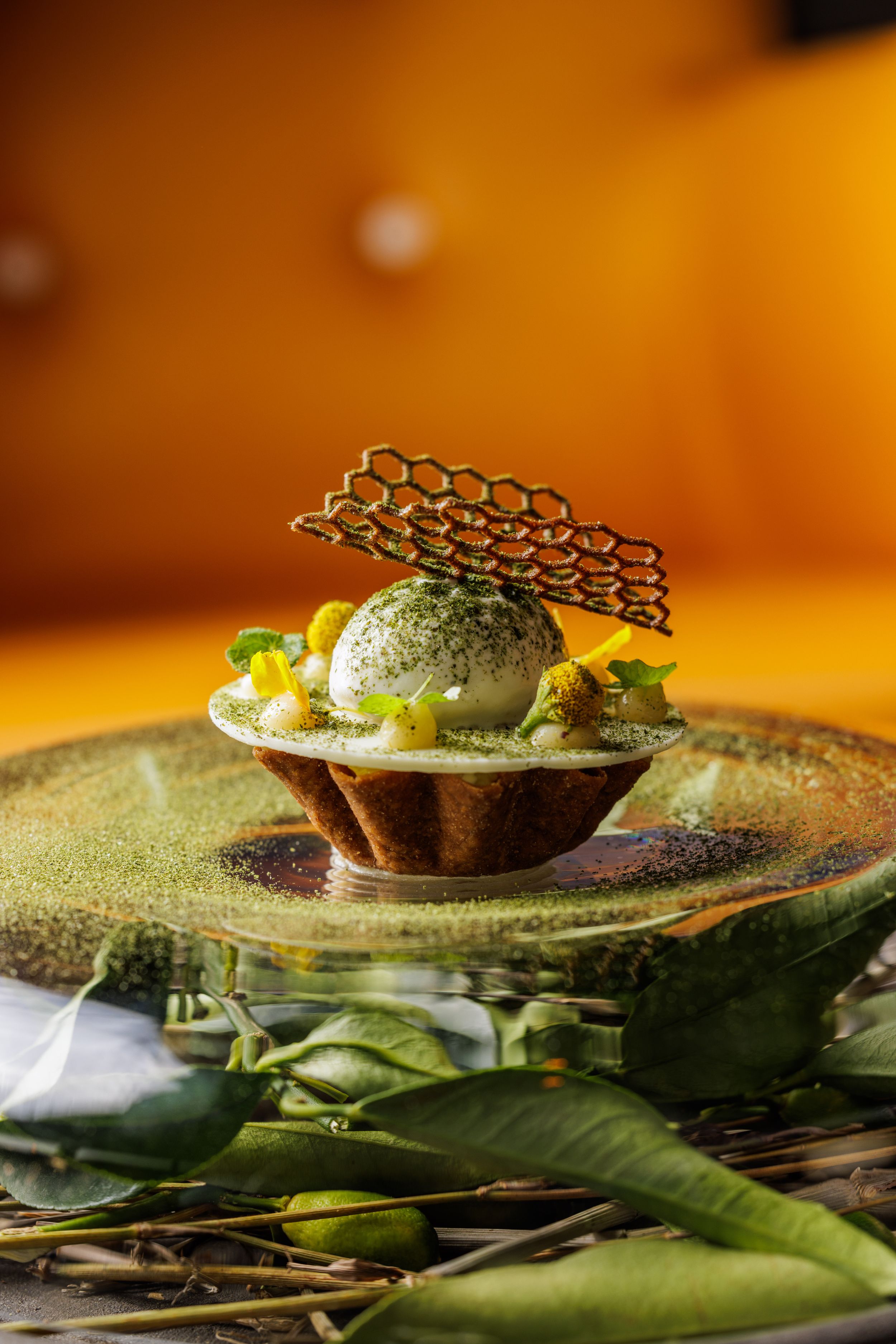 Elegant plated dessert tart with green matcha cream, citrus garnish and decorative chocolate lattice on a rustic plate.