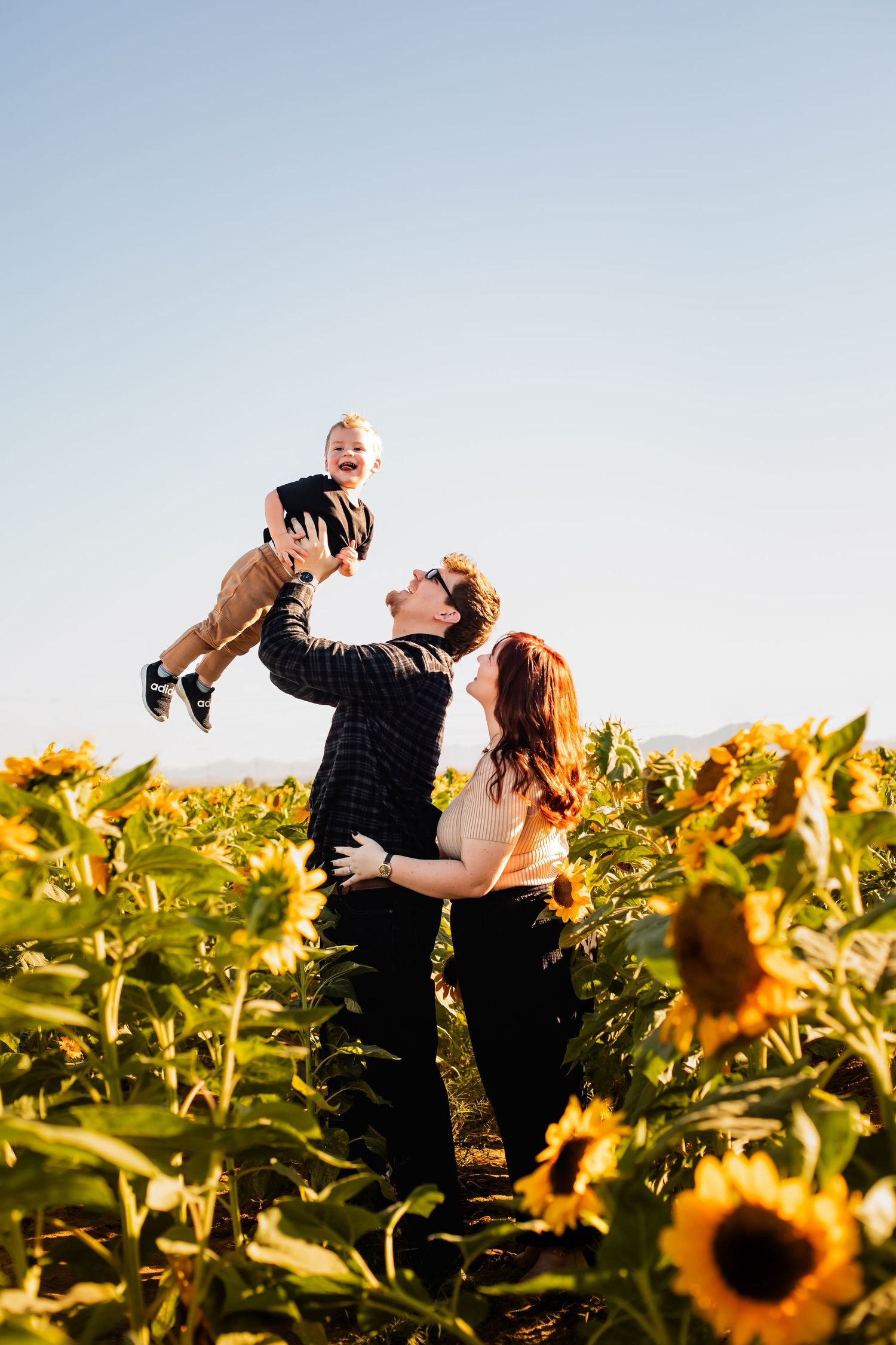 A family of three playing with their baby in a sunflower field in Arizona on a bright and sunny day.