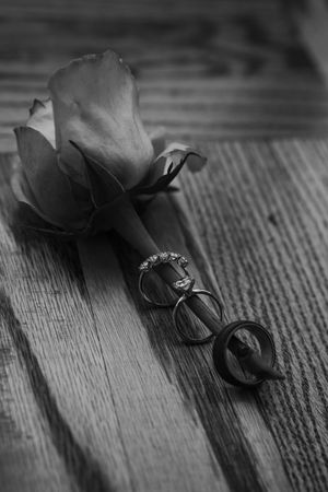 A delicate black rose with petals lies on a rustic wooden surface in black and white.