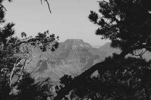 Black and white panoramic mountain landscape with silhouetted trees in the foreground and dramatic cloudy sky.