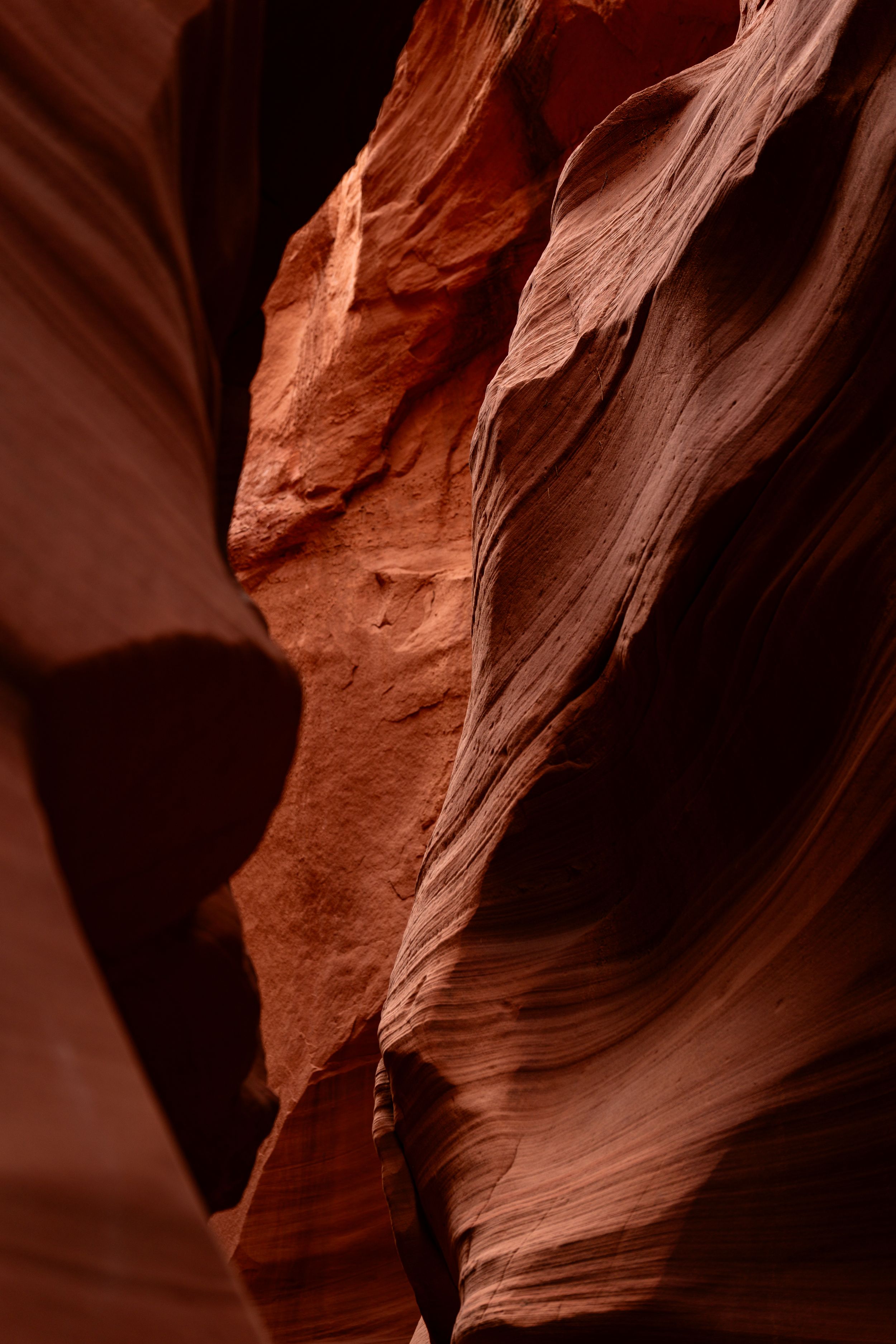 Dramatic red sandstone walls form a winding slot canyon with smooth curved surfaces and deep shadows.