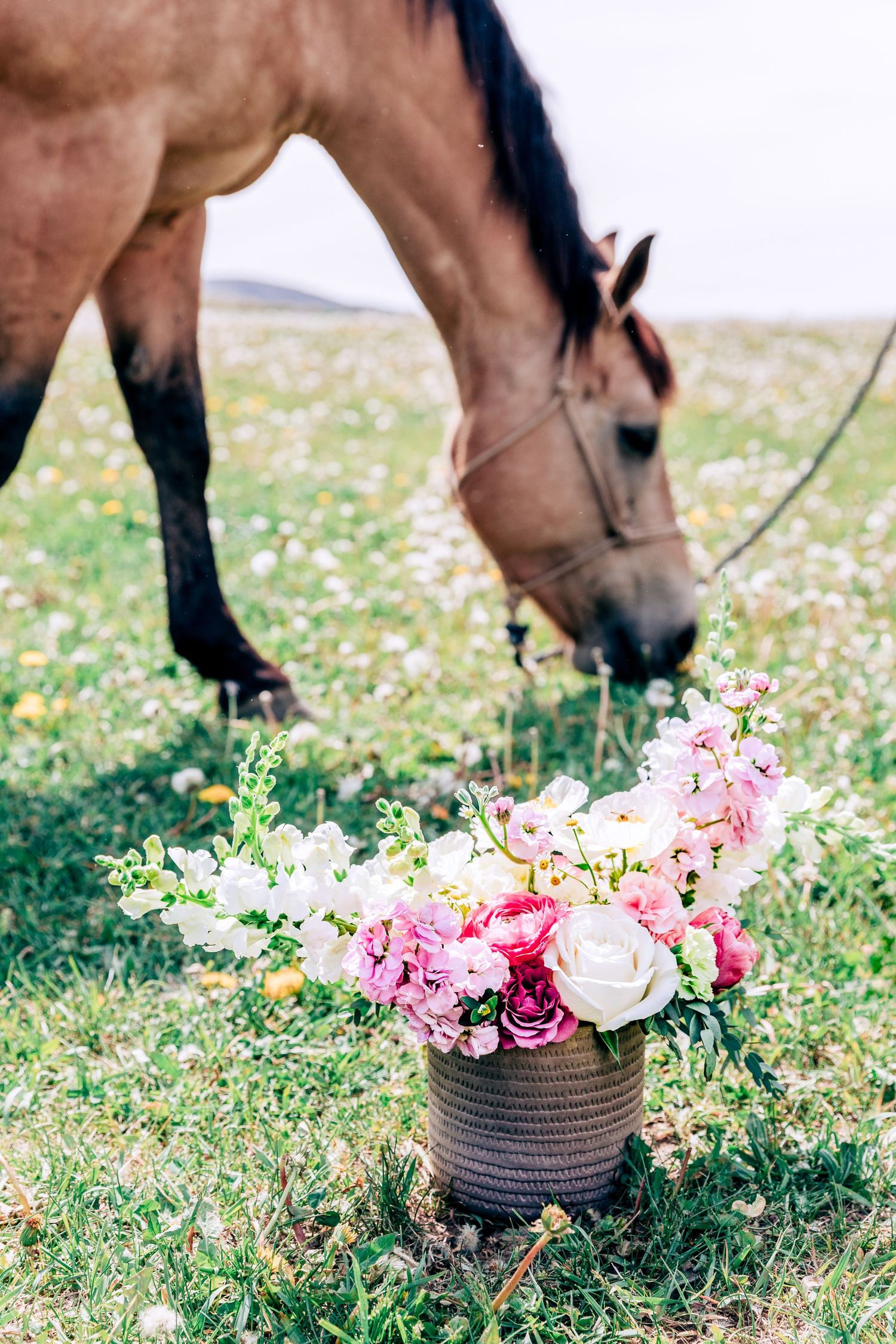 A bouquet of pink and white flowers in a woven basket sits in a meadow with a brown horse grazing in the background.