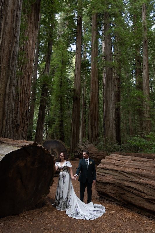 Bride and groom hold hands among towering redwood trees in a lush forest wedding setting.