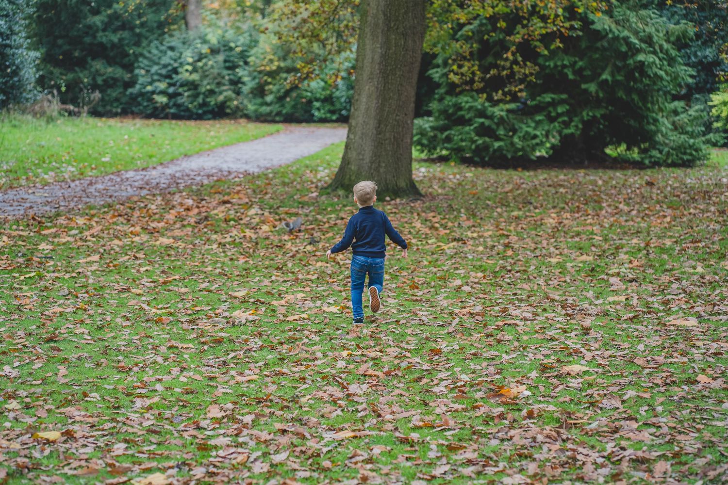 Toddler running in the autumn