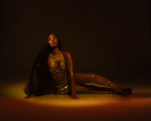 Artistic fashion photo with dramatic lighting and metallic lingerie against dark background.