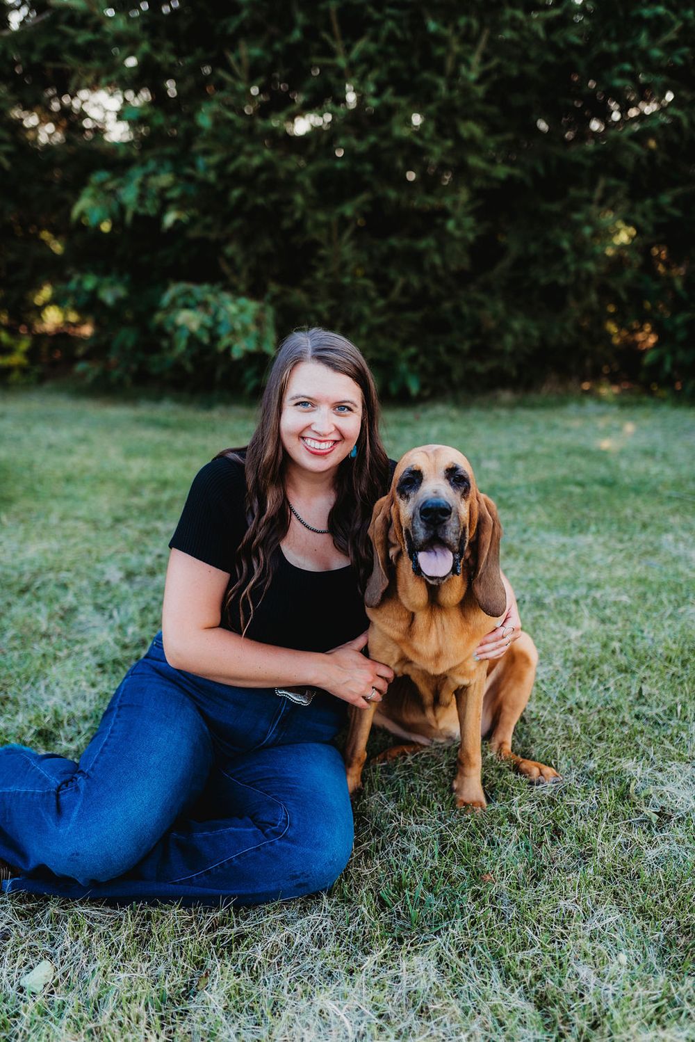 A brown bloodhound dog relaxes on green grass during an outdoor photo session.