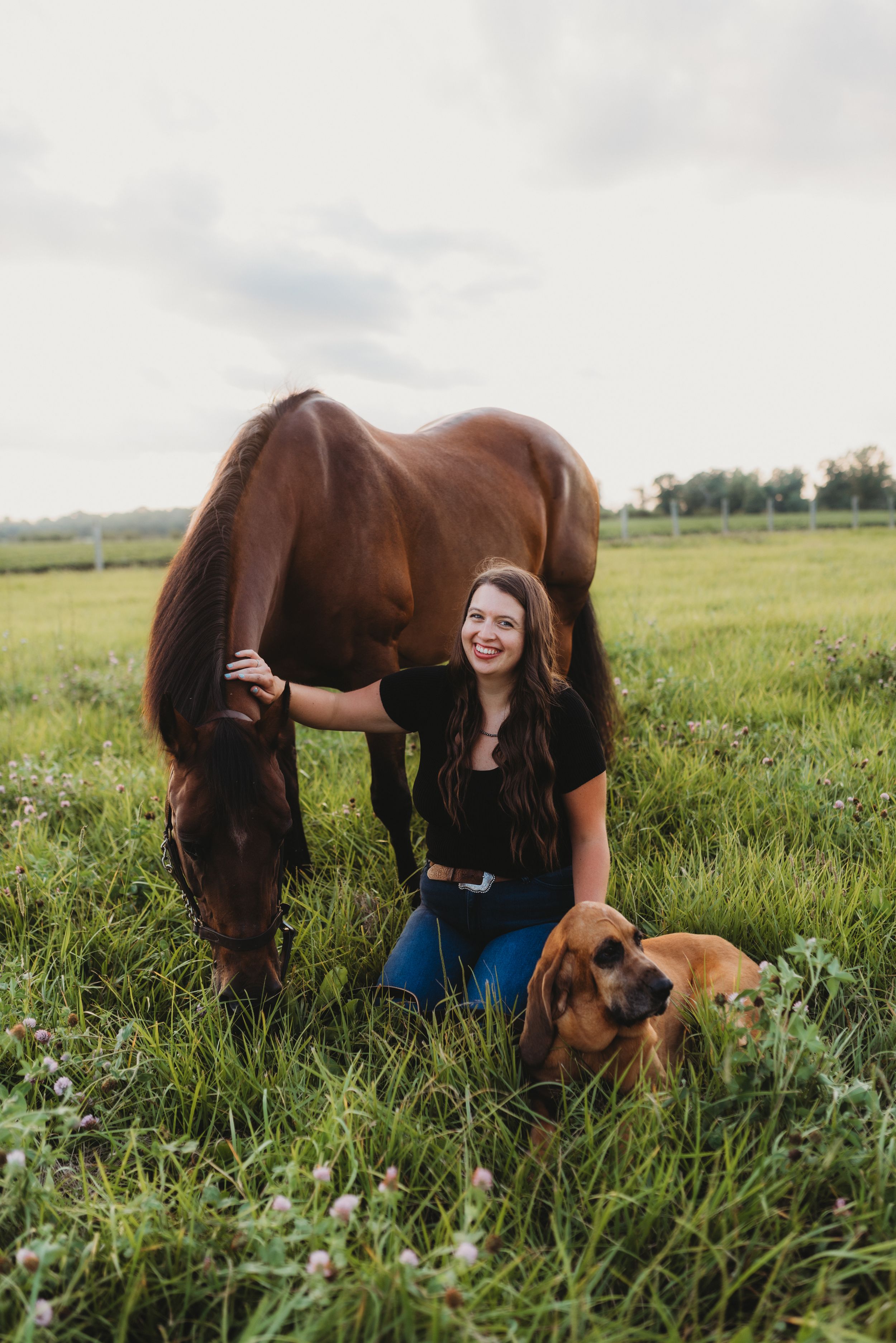 Bay horse and dog companion rest together in tall green grass.