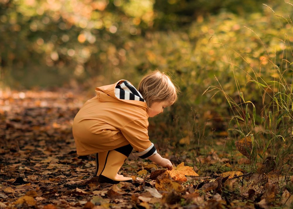 A sequence of autumn scenes shows someone in brown clothing crouching down to play with fallen leaves in a forest.