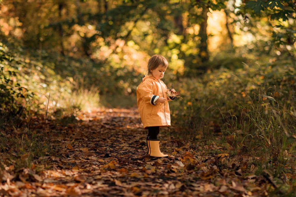 A child in a brown coat stands on a leaf-covered forest path during golden hour sunset.