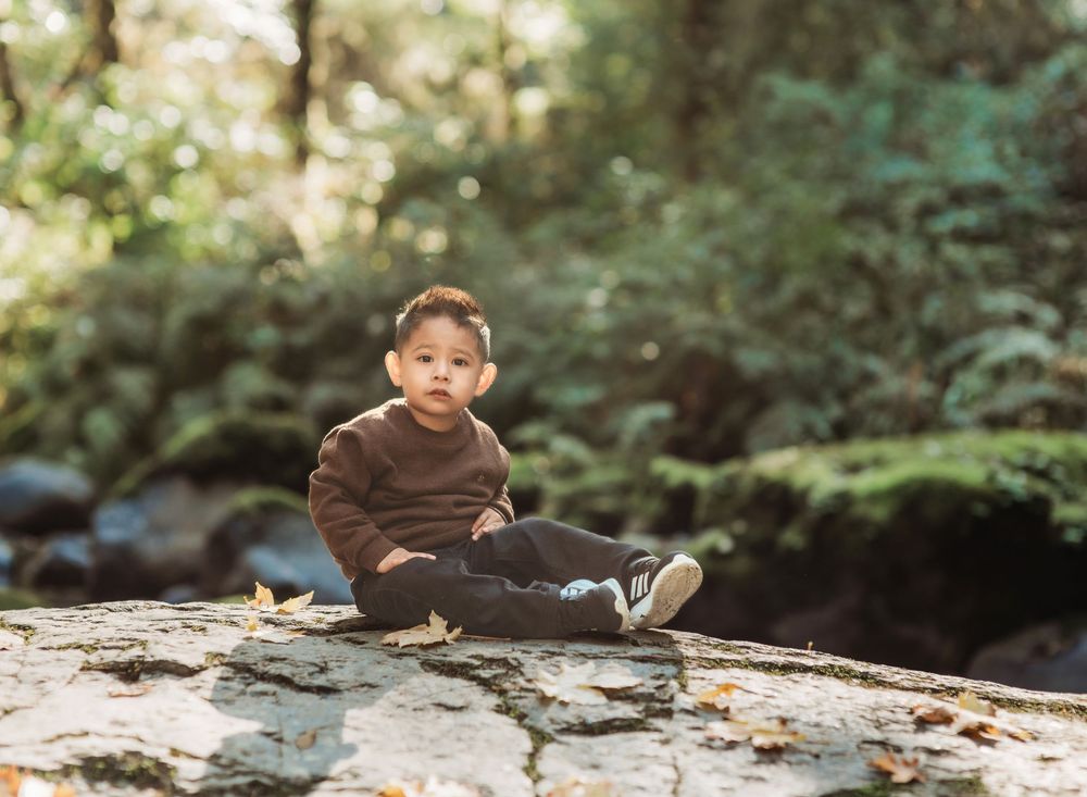 A child plays on a fallen tree trunk in a lush green forest setting during a sunny day.