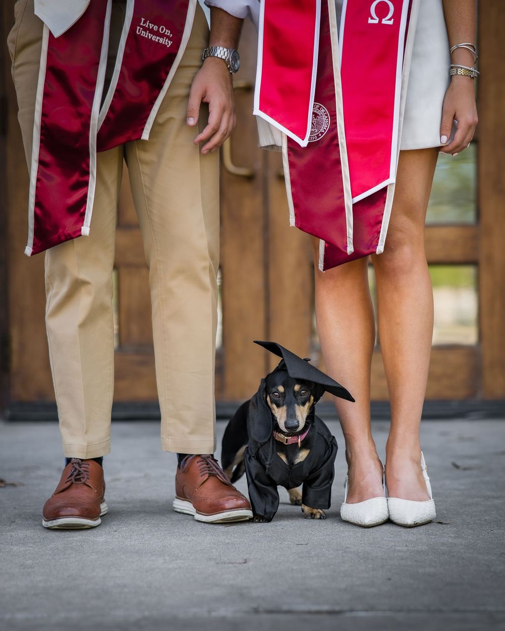 Two graduates in red sashes stand with a dachshund wearing a tiny graduation cap between them.
