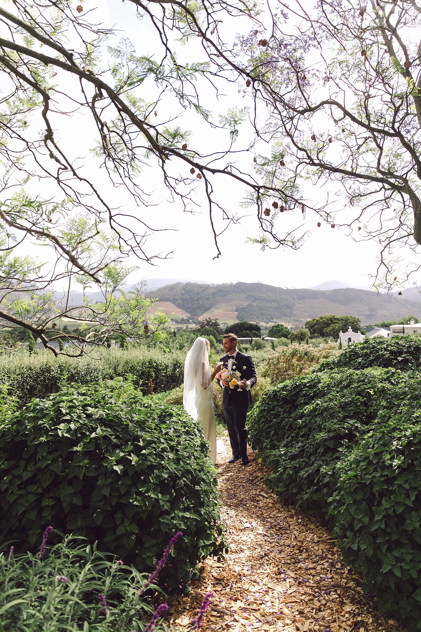 Golden hour wedding photos in the gardens at La Cotte Franschhoek