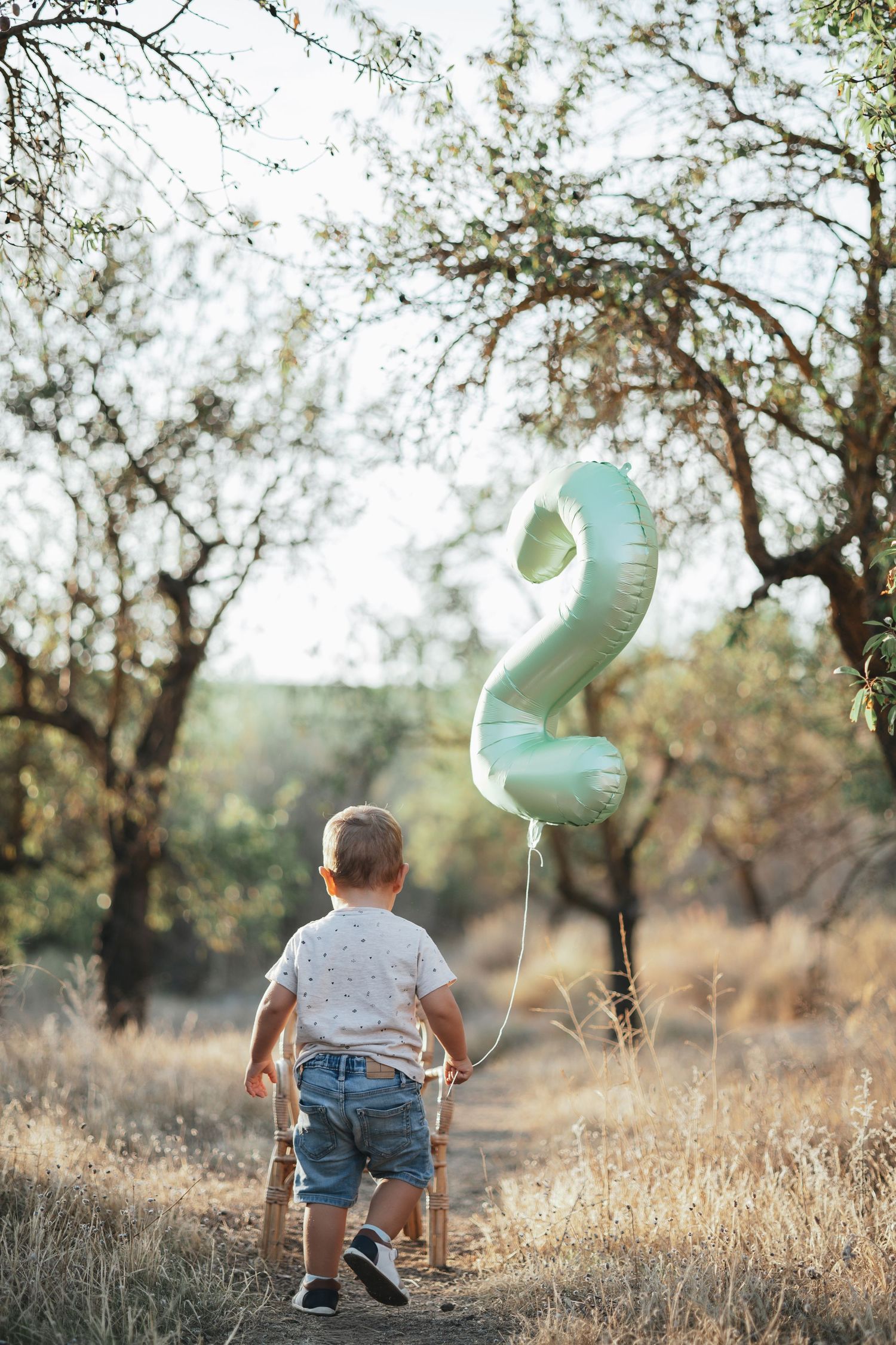 Outdoor photo session setup with mint green balloons in a golden field.