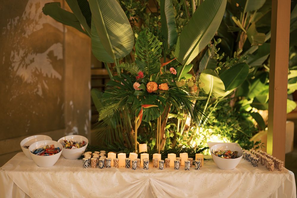 Artfully arranged rows of chocolate bonbons and truffles displayed at an elegant dessert station with tropical plants.