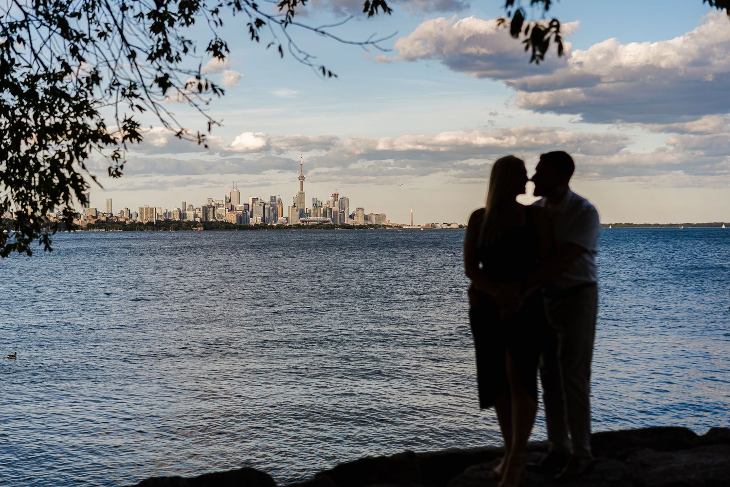 Silhouetted figures stand along a waterfront at dusk with a city skyline visible across the harbor.
