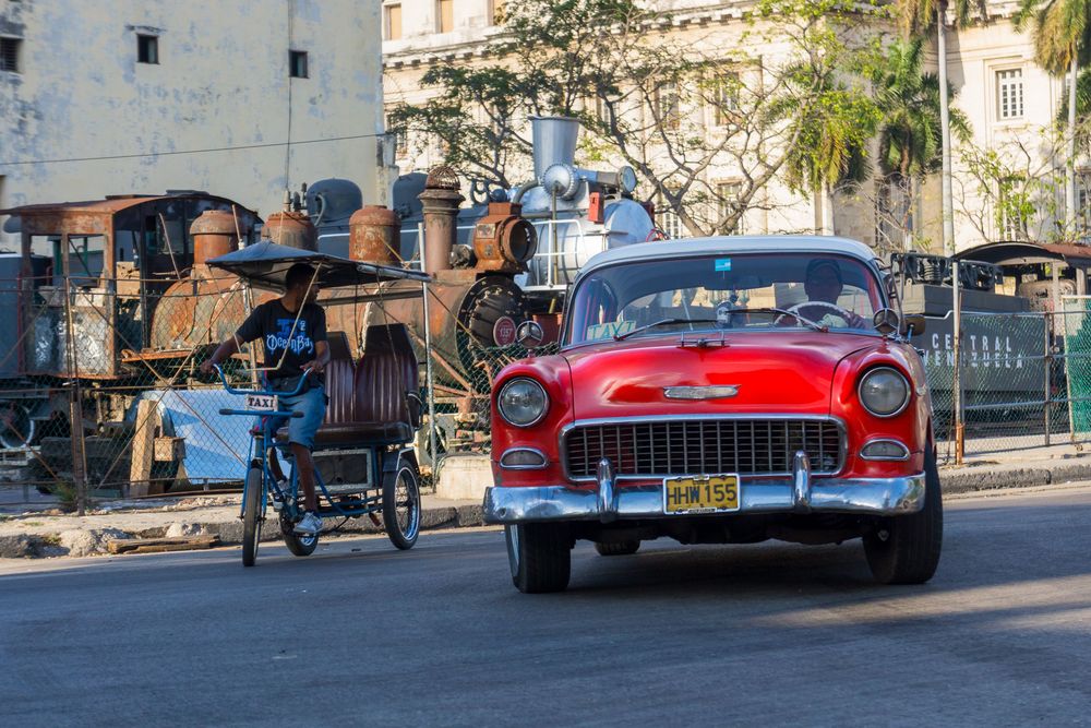 Classic vintage cars including red Chevrolets and other retro automobiles parked along a sunny street lined with palm trees.