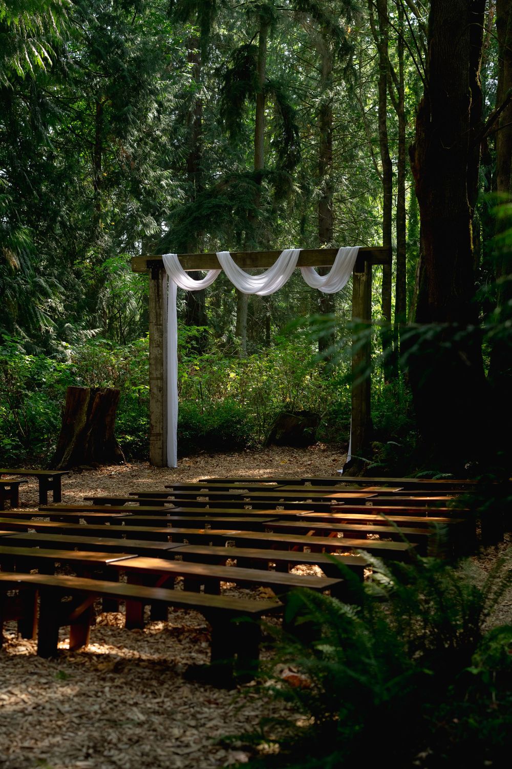 Wooden log benches arranged in rows create an outdoor wedding ceremony space in a serene forest setting.