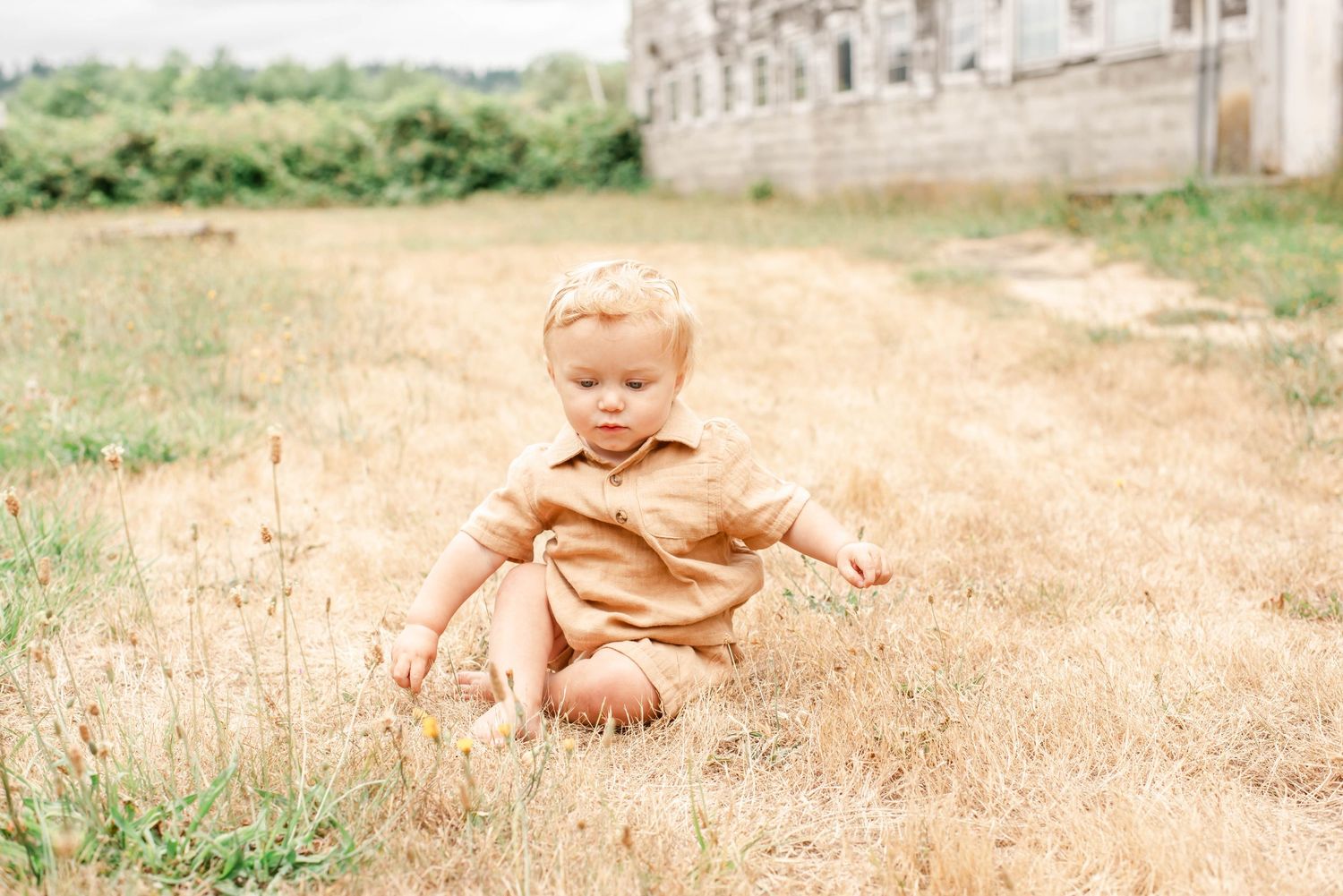 A child plays in a golden wheat field on a bright sunny day while wearing brown clothing.