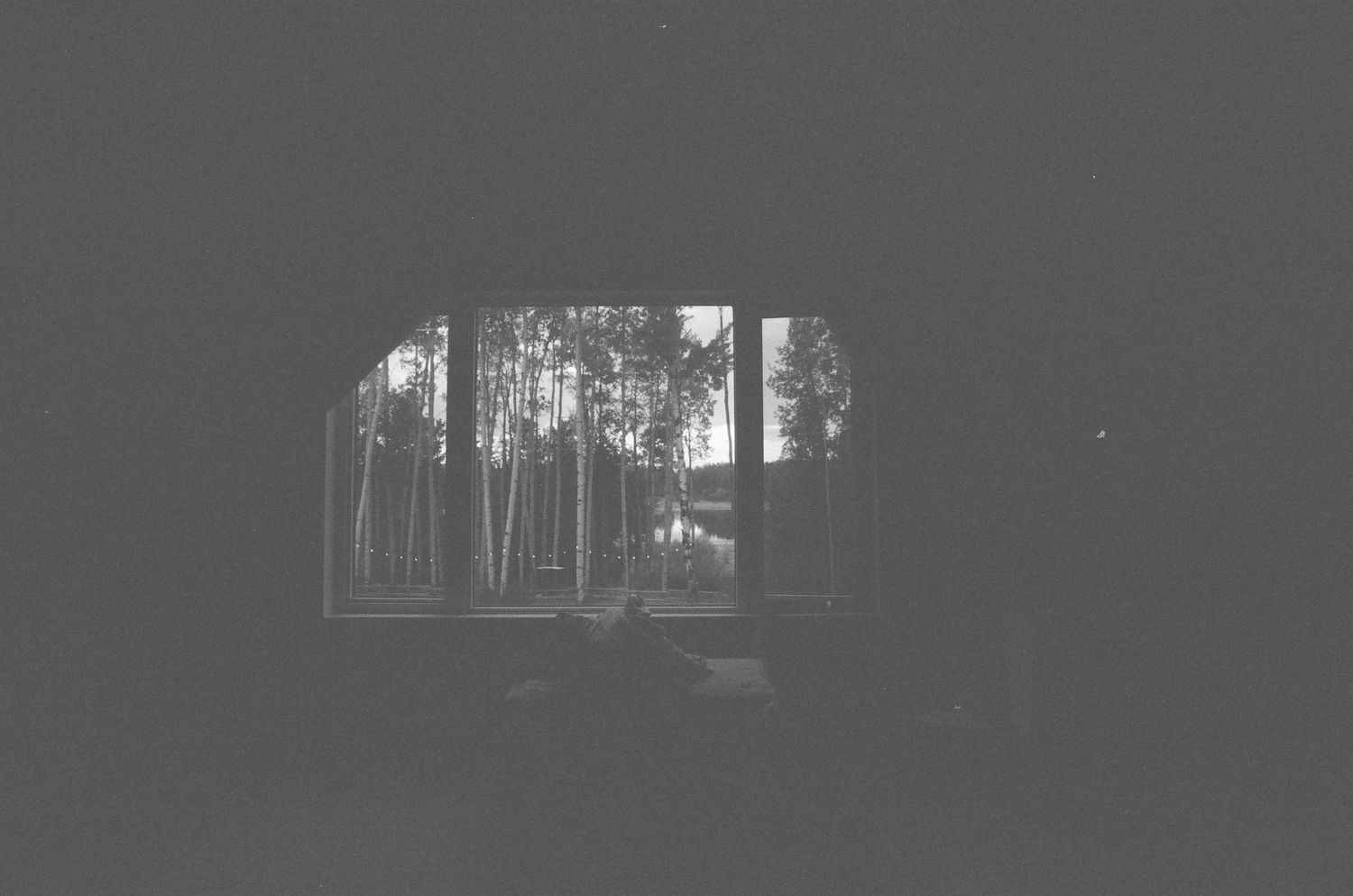 Black and white film photo of a dark room with a window revealing trees outside.