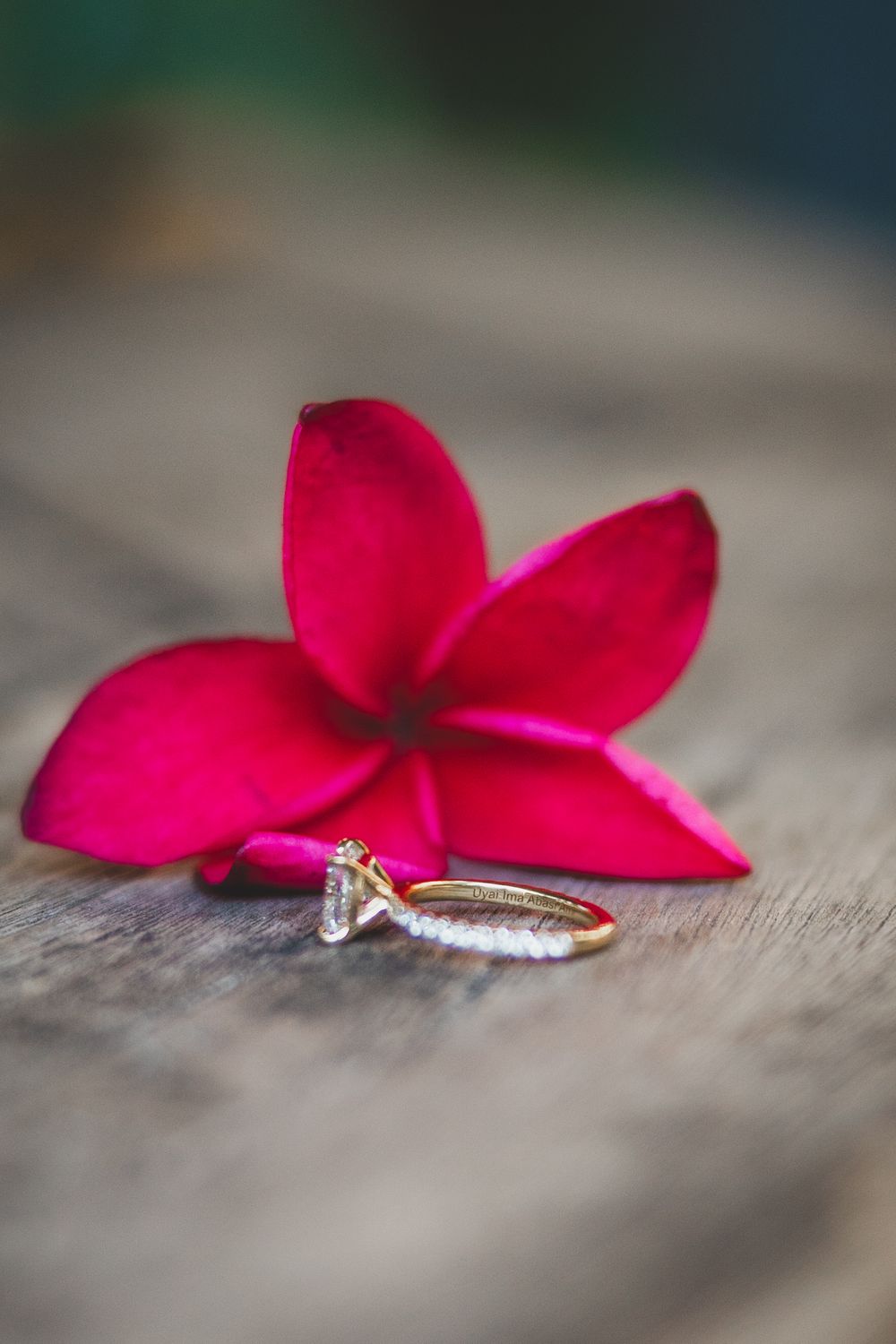 A vibrant red plumeria flower petal rests on a rustic wooden surface next to a delicate wedding ring.
