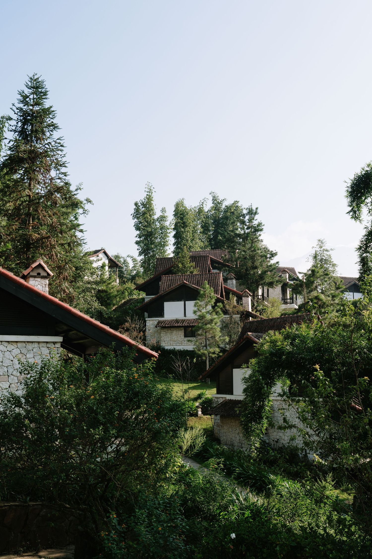 Lush green hillside resort with stone buildings and red roofs among tall pine trees.