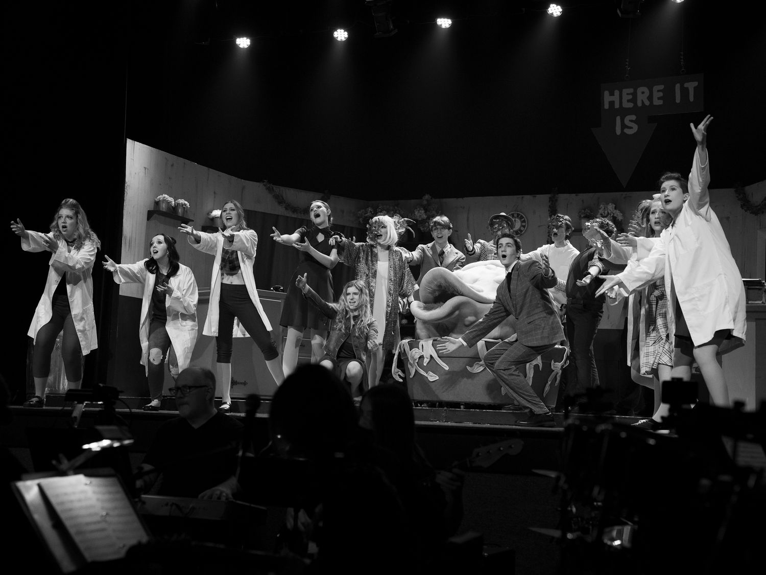 Kings High School Little Shop Of Horrors