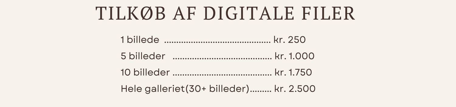 Vintage pricing list or receipt showing text 'TILKOB AF DIGITALE FILER' in Danish with blank payment lines below.