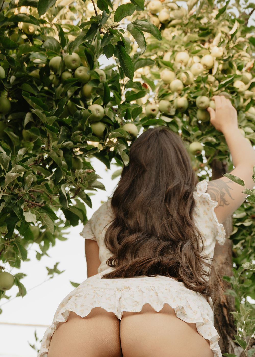 Backyard Utah photoshoot with cottagecore vibes. Apple Picking female model with a bright and airy vibe.