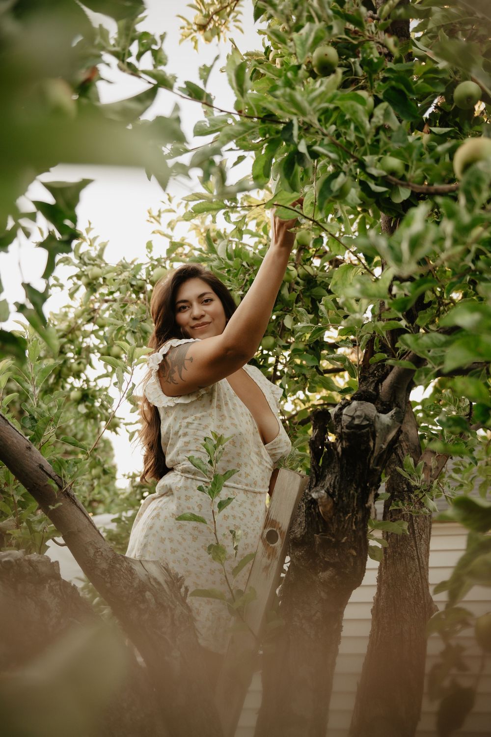 Backyard Utah photoshoot with cottagecore vibes. Apple Picking female model with a bright and airy vibe.