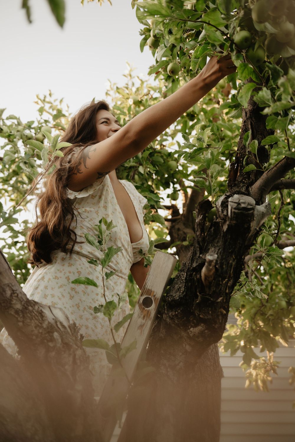 Backyard Utah photoshoot with cottagecore vibes. Apple Picking female model with a bright and airy vibe.