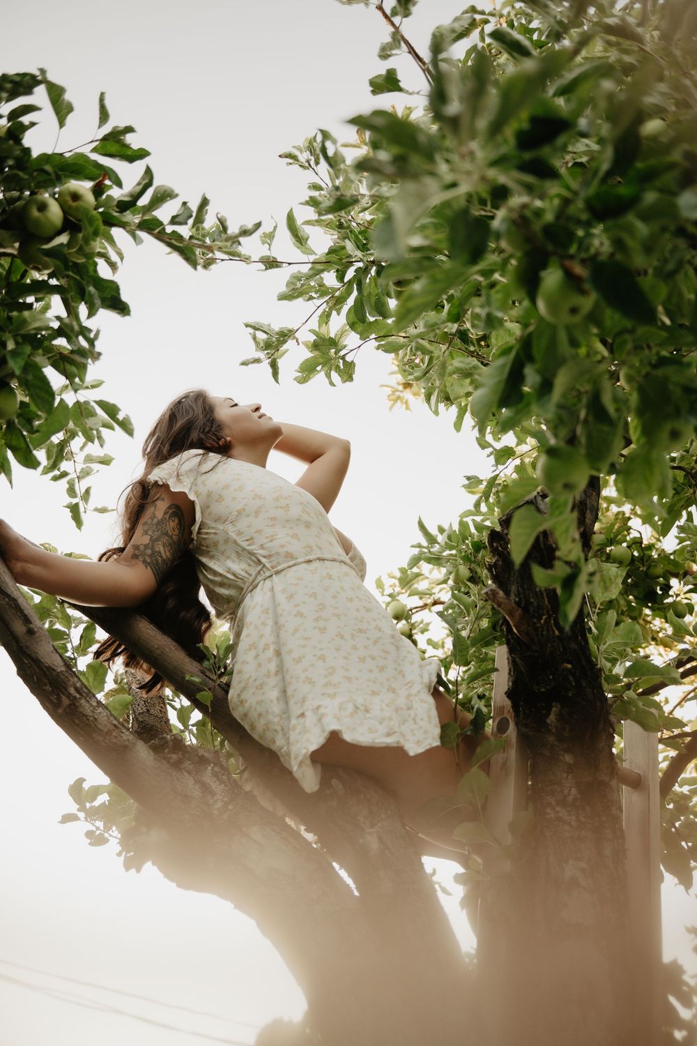 Backyard Utah photoshoot with cottagecore vibes. Apple Picking female model with a bright and airy vibe.