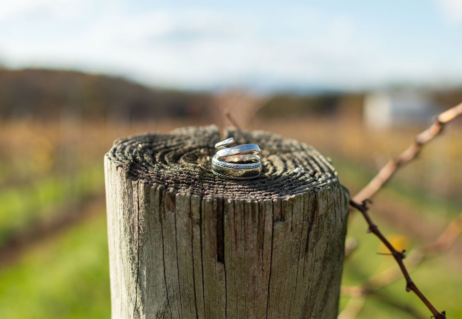 photo of wedding bands positioned for wedding photo