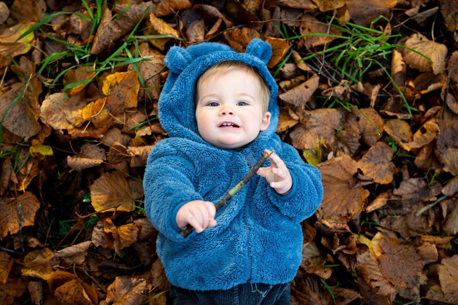 10 month old lying in a bed of leaves playing with a stick during an Autumn Photoshoot