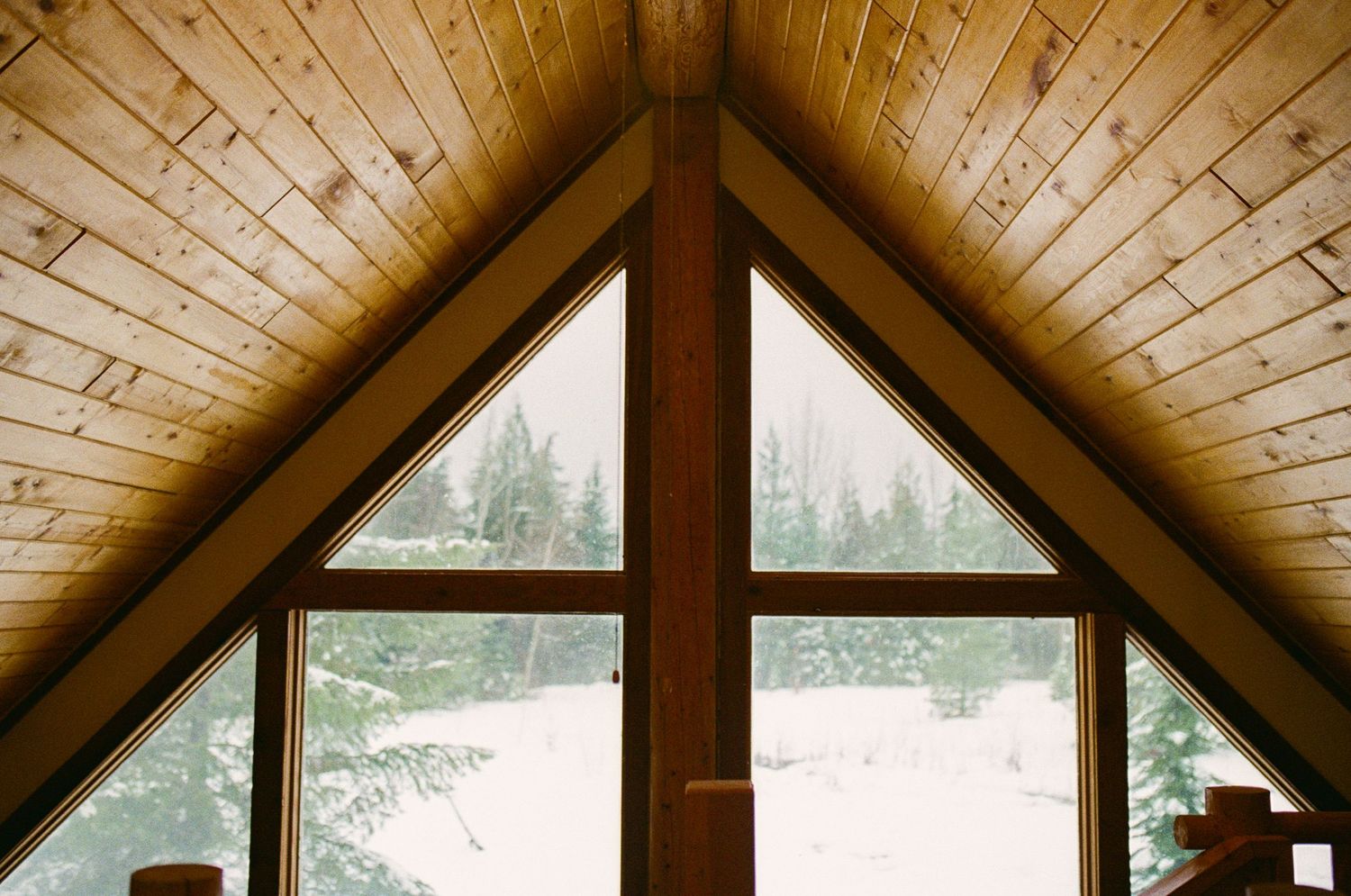 35 mm film photo of the view from out the windows of an A-frame log cabin over a snowy forest in Revelstoke, BC