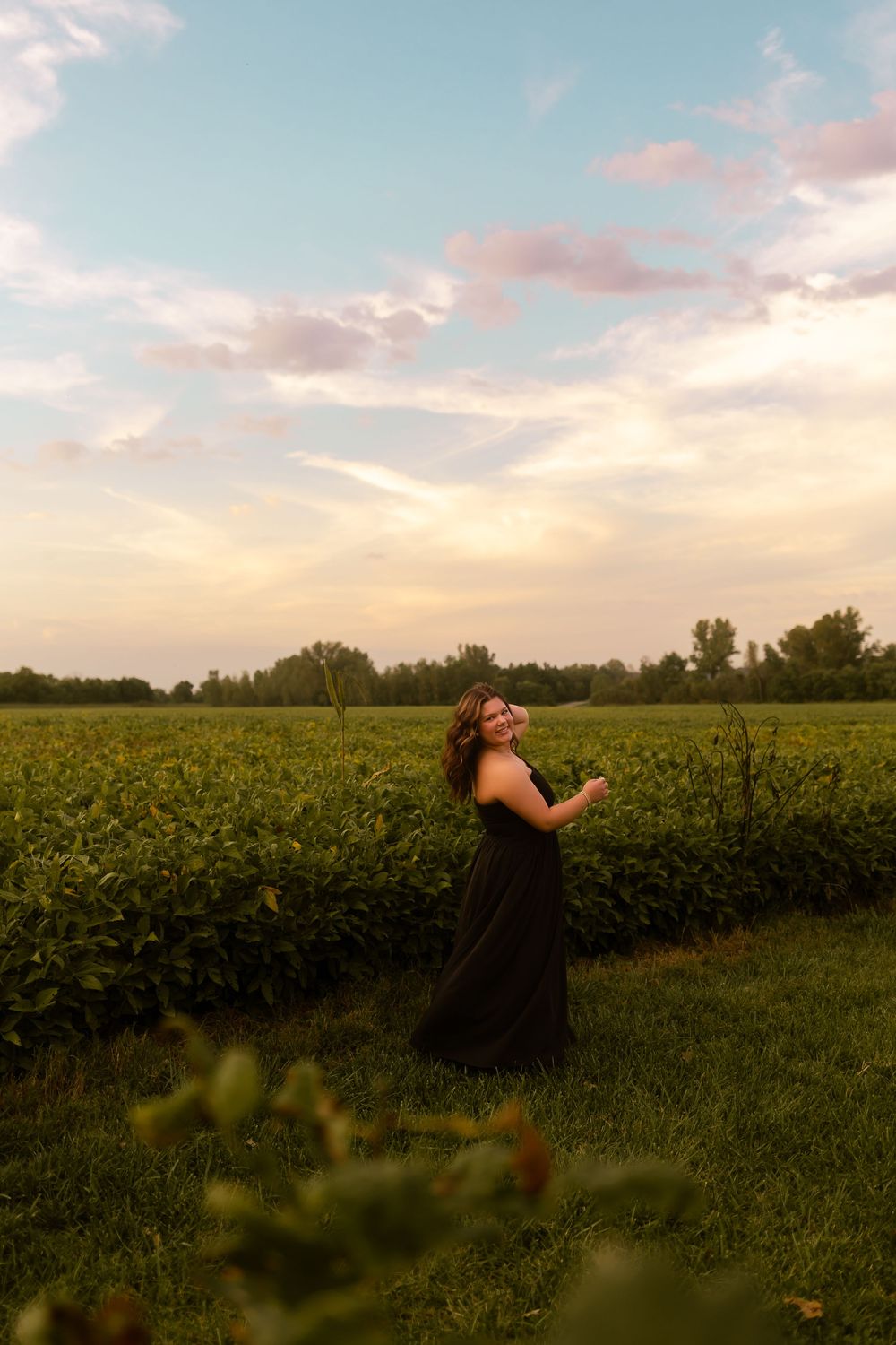 A panoramic view of a lush green canola field stretches into the horizon during a golden sunset.
