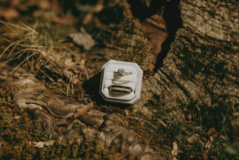 Diamond engagement ring displayed in a white velvet box resting on moss and tree bark in a natural outdoors. Blairsville PA Photographer